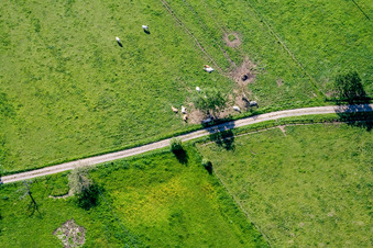 Schrägluftbild von Ernolsheim-lès-Saverne im Bundesland Bas-Rhin, Frankreich