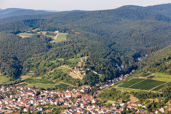 Schrägluftbild von Ehemalige Burganlage Wachtenburg (Ruine "Burg Wachenheim") in Wachenheim an der Weinstraße im Bundesland Rheinland-Pfalz, Deutschland