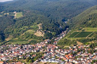 Ehemalige Burganlage Wachtenburg (Ruine "Burg Wachenheim") in Wachenheim an der Weinstraße im Bundesland Rheinland-Pfalz, Deutschland von oben