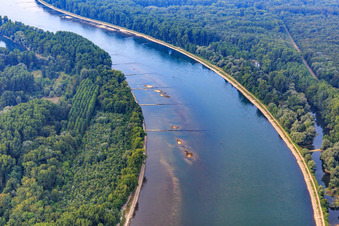 Sandbänke zwischen den Buhnen am Rhein im Ortsteil Liedolsheim in Dettenheim im Bundesland Baden-Württemberg, Deutschland