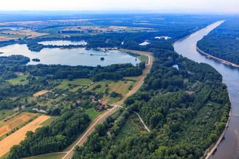 Naturschutzgebiet Dettenheimer Rheinniederung im Ortsteil Liedolsheim im Bundesland Baden-Württemberg, Deutschland