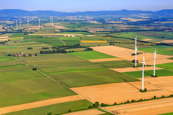 Schrägluftbild von Windkraftanlagen in Minfeld im Bundesland Rheinland-Pfalz, Deutschland