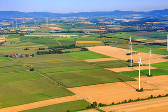 Windkraftanlagen in Minfeld im Bundesland Rheinland-Pfalz, Deutschland von oben