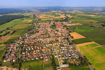 Dorfansicht aus Osten in Minfeld im Bundesland Rheinland-Pfalz, Deutschland von oben