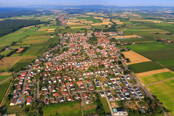 Dorfansicht aus Osten in Minfeld im Bundesland Rheinland-Pfalz, Deutschland aus der Luft