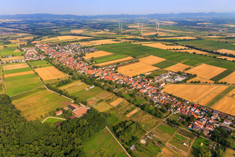 Dorfansicht aus Südosten in Freckenfeld im Bundesland Rheinland-Pfalz, Deutschland