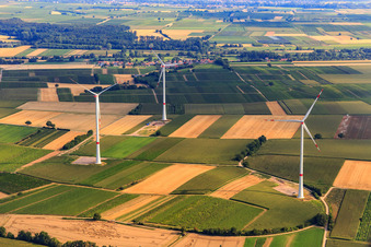 Windpark in Freckenfeld im Bundesland Rheinland-Pfalz, Deutschland