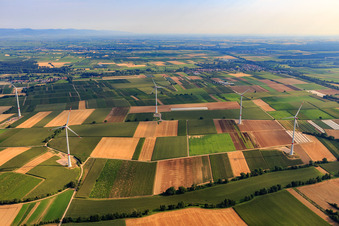 Luftbild von Windpark in Freckenfeld im Bundesland Rheinland-Pfalz, Deutschland