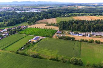 Maislabyrinth am Seehof in Steinweiler im Bundesland Rheinland-Pfalz, Deutschland