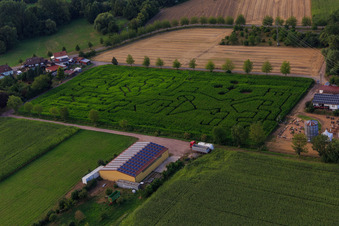 Maislabyrinth, Hochzeitslocation und Beachlounge in Steinweiler Seehof im Bundesland Rheinland-Pfalz, Deutschland