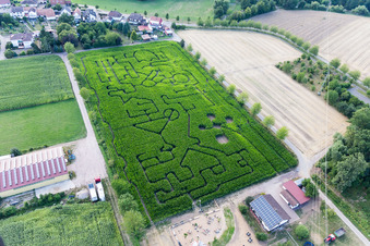 Luftbild von Irrgarten - Labyrinth auf einem Mais-Feld des Seehof in Steinweiler im Bundesland Rheinland-Pfalz, Deutschland