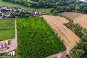 Steinweiler, Maislabyrinth am Seehof im Bundesland Rheinland-Pfalz, Deutschland