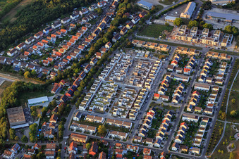 Eichheckstr im Ortsteil Knielingen in Karlsruhe im Bundesland Baden-Württemberg, Deutschland