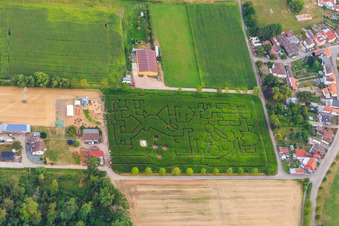Drohnenbild von Maislabyrinth, Hochzeitslocation und Beachlounge in Steinweiler Seehof im Bundesland Rheinland-Pfalz, Deutschland