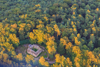 Ruine Waldschlössel in Klingenmünster im Bundesland Rheinland-Pfalz, Deutschland