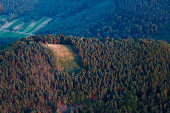 Luftbild von N-Startplatz am Hohenberg in Birkweiler im Bundesland Rheinland-Pfalz, Deutschland