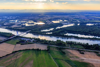 Autobahnbrücke der A61 über den Rhein nördlich von Speyer in Hockenheim im Bundesland Baden-Württemberg, Deutschland
