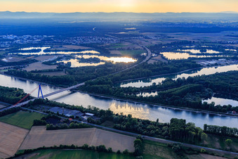 Autobahnbrücke der A61 über den Rhein nördlich von Speyer in Otterstadt im Bundesland Rheinland-Pfalz, Deutschland