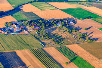 Edingerhof in Ladenburg im Bundesland Baden-Württemberg, Deutschland