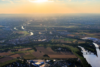 Ortansicht aus Osten am Neckarufer in Ilvesheim im Bundesland Baden-Württemberg, Deutschland