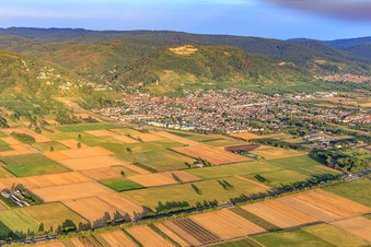 Luftbild von Ortsansicht an der Bergstraße aus Nordwesten in Schriesheim im Bundesland Baden-Württemberg, Deutschland