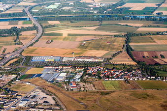 Gebäude des IKEA Möbel & Einrichtungshaus Mannheim in Mannheim im Ortsteil Sandhofen im Bundesland Baden-Württemberg, Deutschland