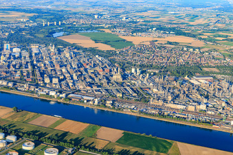 Ortsteil BASF in Ludwigshafen am Rhein im Bundesland Rheinland-Pfalz, Deutschland von oben