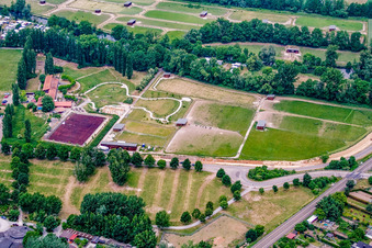 Straussenfarm in Rülzheim im Bundesland Rheinland-Pfalz, Deutschland