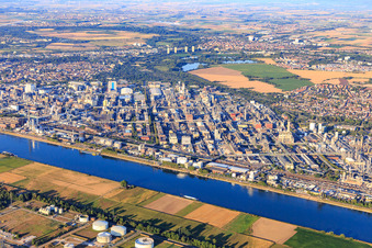 Ortsteil BASF in Ludwigshafen am Rhein im Bundesland Rheinland-Pfalz, Deutschland aus der Luft