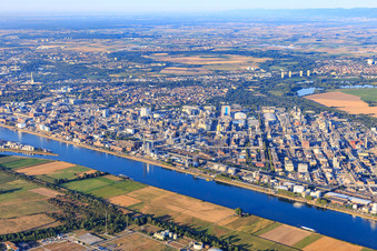 Ortsteil BASF in Ludwigshafen am Rhein im Bundesland Rheinland-Pfalz, Deutschland von oben gesehen