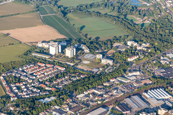 Oggersheim, BG-Klinik in Ludwigshafen am Rhein im Bundesland Rheinland-Pfalz, Deutschland