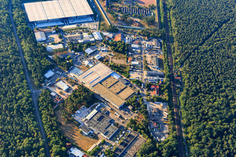 Luftbild von Industriegebiet Carl-Benz-Straße mit  G. Staehle GmbH & Co. und Türmerleim GmbH in Schifferstadt im Bundesland Rheinland-Pfalz, Deutschland