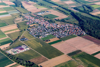 Luftbild von Dorf - Ansicht am Rande von landwirtschaftlichen Feldern und Nutzflächen in Freisbach im Bundesland Rheinland-Pfalz, Deutschland