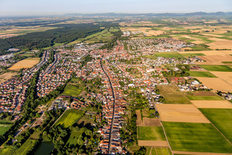 Ortsansicht am Rande von landwirtschaftlichen Feldern und Nutzflächen in Herxheim bei Landau (Pfalz) im Bundesland Rheinland-Pfalz, Deutschland
