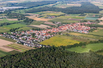 Luftbild von Erlenbach bei Kandel von Nordosten im Bundesland Rheinland-Pfalz, Deutschland