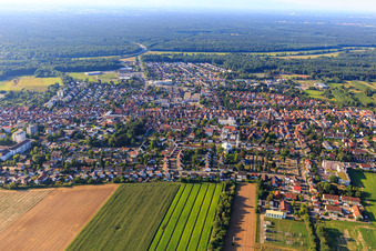 Stadtansicht aus Norden in Kandel im Bundesland Rheinland-Pfalz, Deutschland von oben