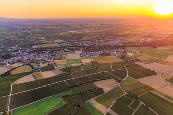 Ortsansicht bei Sonnenaufgang aus Südwesten im Ortsteil Ingenheim in Billigheim-Ingenheim im Bundesland Rheinland-Pfalz, Deutschland