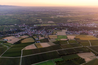 Ortsteil Billigheim in Billigheim-Ingenheim im Bundesland Rheinland-Pfalz, Deutschland aus der Vogelperspektive
