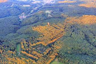 Luftbild von Buntsandsteinfels im Wald in Waldhambach im Bundesland Rheinland-Pfalz, Deutschland