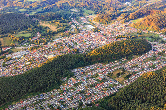 Stadtansicht im Pfälzerwald am Morgen aus Nordosten in Dahn im Bundesland Rheinland-Pfalz, Deutschland