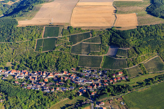 Ortsansicht unter den Weinbergen am Glan in Raumbach im Bundesland Rheinland-Pfalz, Deutschland