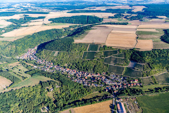 Weinberge am Rand des Dorfes in Raumbach im Bundesland Rheinland-Pfalz, Deutschland