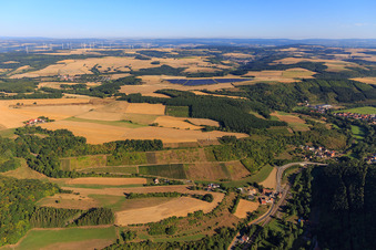 Weinbege im Alsenztal im Ortsteil Cölln in Mannweiler-Cölln im Bundesland Rheinland-Pfalz, Deutschland