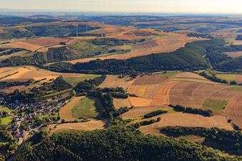 Windpark Niedermoschel in Alsenz im Bundesland Rheinland-Pfalz, Deutschland