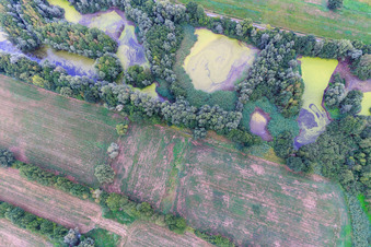 Luftaufnahme von Weiher mit Entengrütze im Ortsteil Garlstorf in Bleckede im Bundesland Niedersachsen, Deutschland