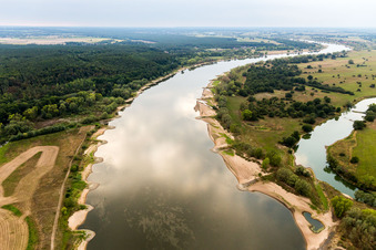 Uferbereiche mit durch Niedrig- Wasser- Pegel freigelegten Flußbett der Elbe in Neu Darchau im Ortsteil Walmsburg in Bleckede im Bundesland Niedersachsen, Deutschland