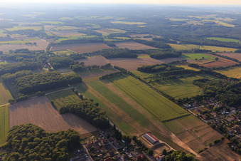 Maislabyrinth in Amelinghausen im Bundesland Niedersachsen, Deutschland