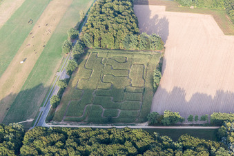 Irrgarten - Labyrinth auf einem Maisfeld in Amelinghausen im Bundesland Niedersachsen, Deutschland