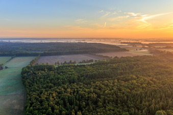 Felder und Wälder der Lüneburger Heide in Scharnebeck im Bundesland Niedersachsen, Deutschland