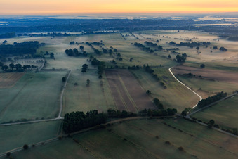 Morgennebel über der Elbtalaue bei Echem im Bundesland Niedersachsen, Deutschland